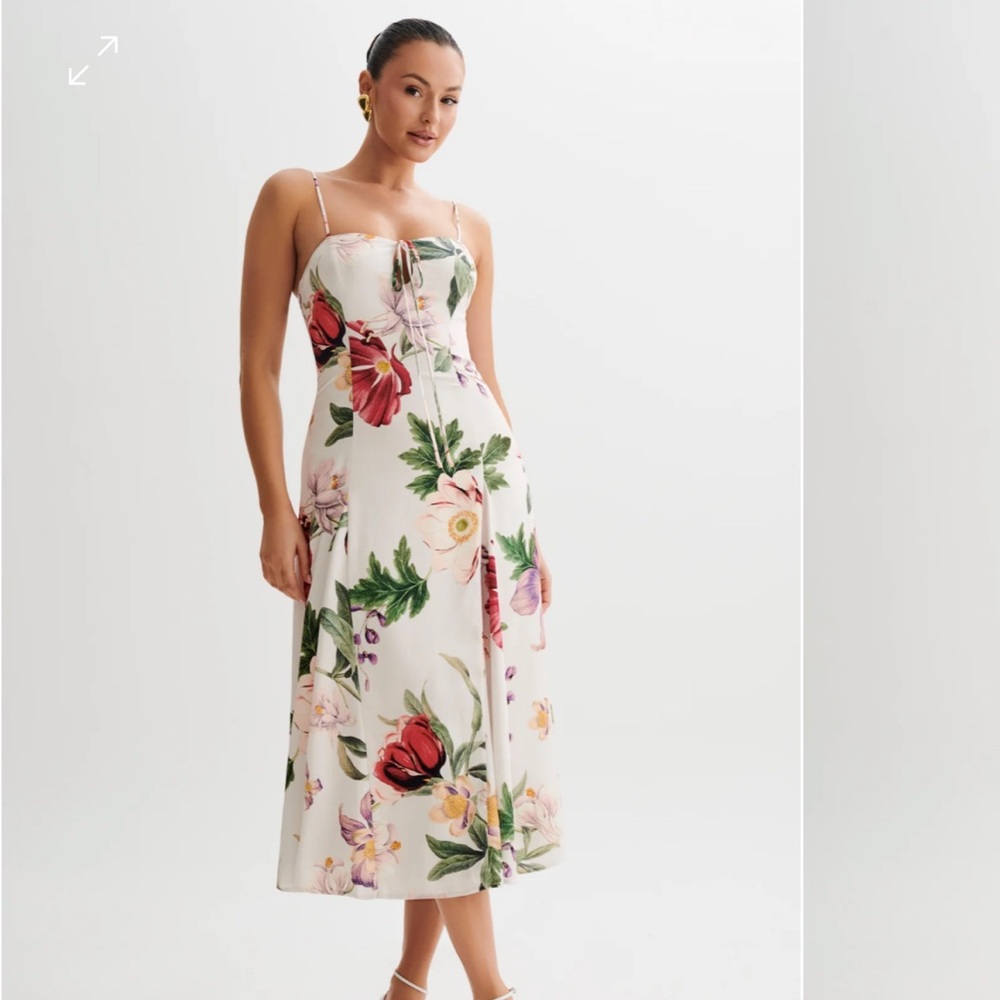 NWT Meshki Dress